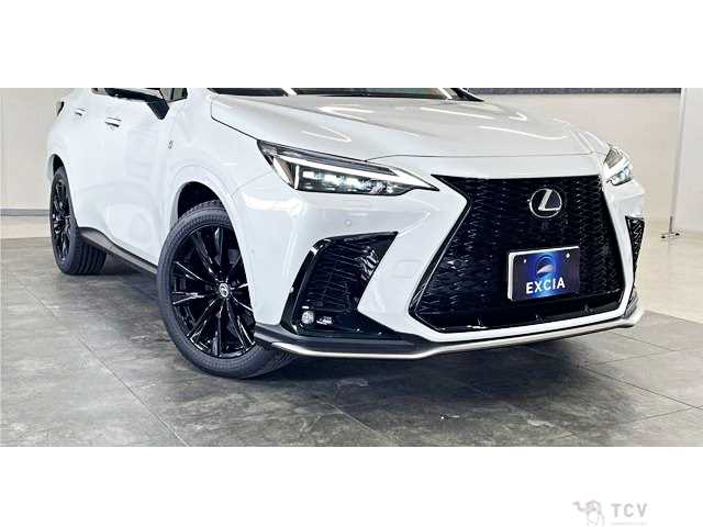 2025 Lexus NX