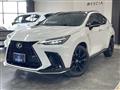 2025 Lexus NX