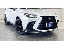 2025 Lexus NX
