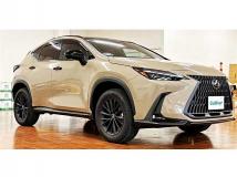 2025 Lexus NX