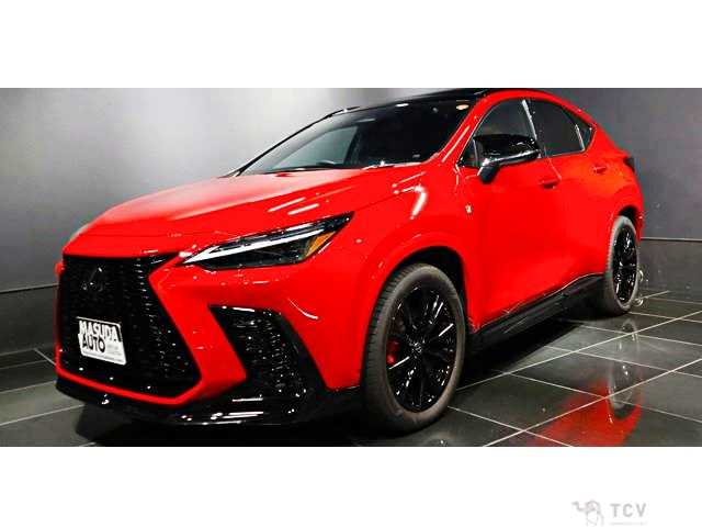 2025 Lexus NX
