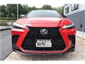 2025 Lexus NX