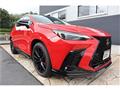 2025 Lexus NX