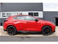 2025 Lexus NX