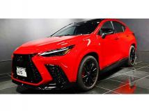 2025 Lexus NX