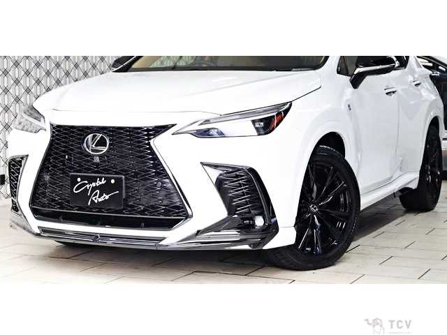 2025 Lexus NX
