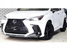 2025 Lexus NX