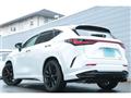 2025 Lexus NX