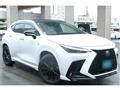 2025 Lexus NX