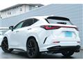 2025 Lexus NX