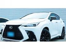 2025 Lexus NX