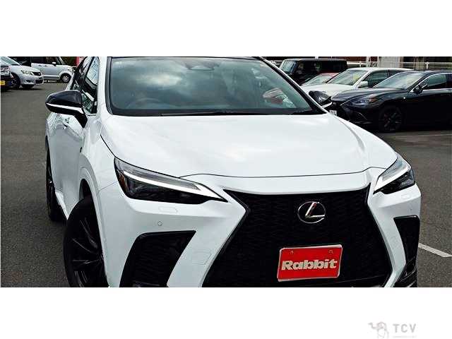 2025 Lexus NX