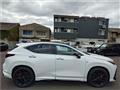 2025 Lexus NX