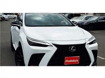 2025 Lexus NX