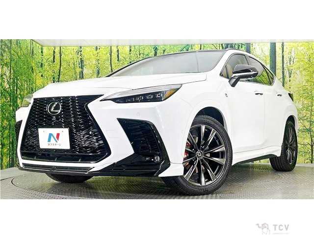 2025 Lexus NX