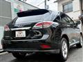 2013 Lexus RX