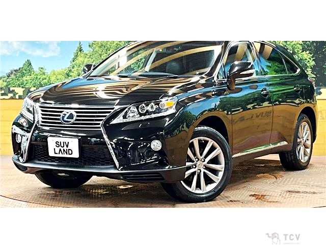 2013 Lexus RX