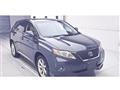 2010 Lexus RX