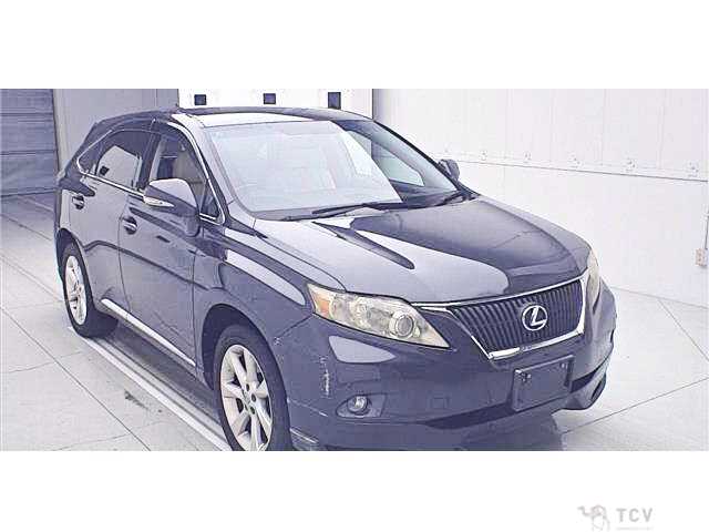 2010 Lexus RX