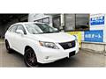 2009 Lexus RX