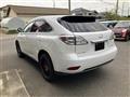 2009 Lexus RX