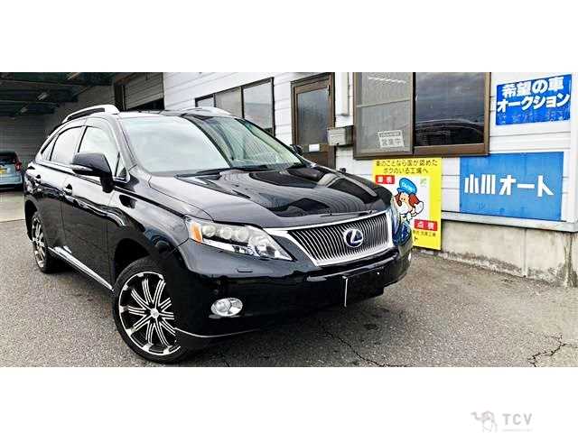 2009 Lexus RX