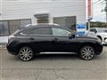 2009 Lexus RX