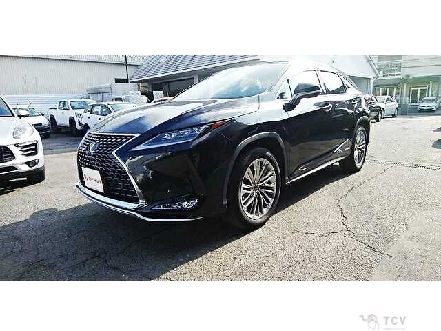 2019 Lexus RX