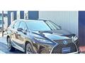 2019 Lexus RX