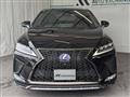 2019 Lexus RX
