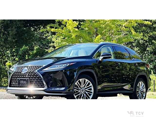 2019 Lexus RX