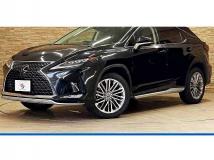 2019 Lexus RX