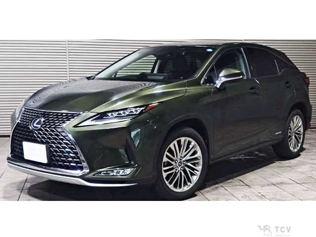 2019 Lexus RX