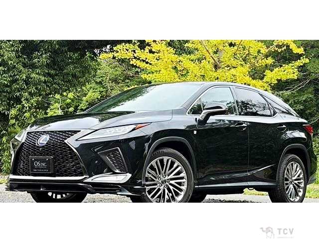 2019 Lexus RX