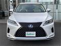 2019 Lexus RX