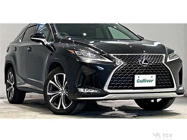 2019 Lexus RX