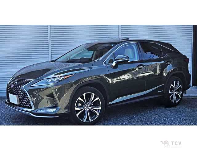 2019 Lexus RX