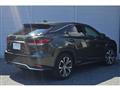 2019 Lexus RX