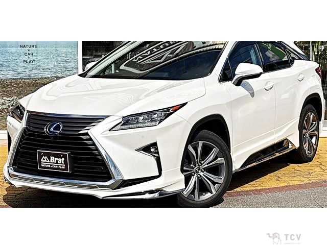 2019 Lexus RX