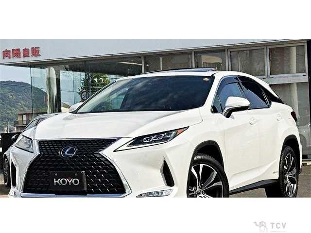 2019 Lexus RX