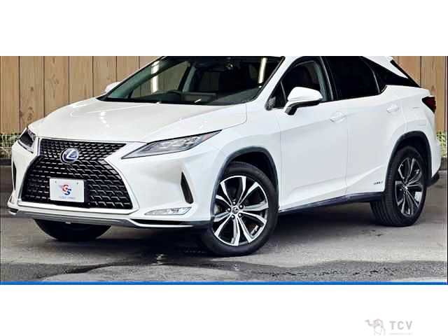 2019 Lexus RX