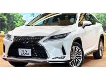 2019 Lexus RX