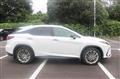 2020 Lexus RX