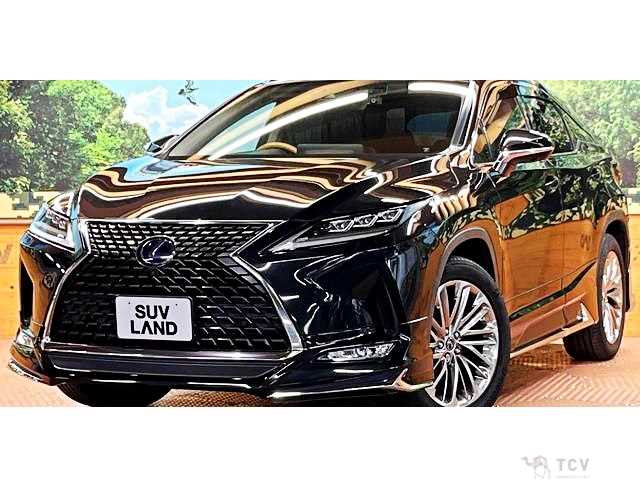 2020 Lexus RX