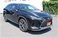 2021 Lexus RX