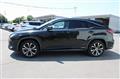 2021 Lexus RX