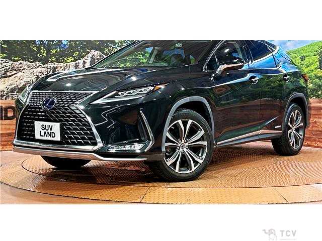 2021 Lexus RX