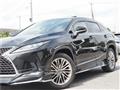 2021 Lexus RX