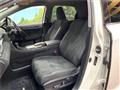 2022 Lexus RX