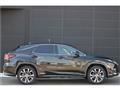 2022 Lexus RX